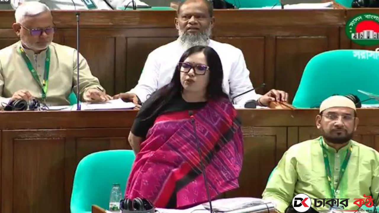 আমাকে মনোনয়ন না দেওয়ায় বিএনপিকে ধন্যবাদ: রুমিন ফারহানা