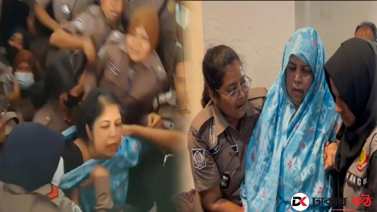 শিরীন শারমিনের শুনানিতে আইনিজীবীদের হট্টগোল!