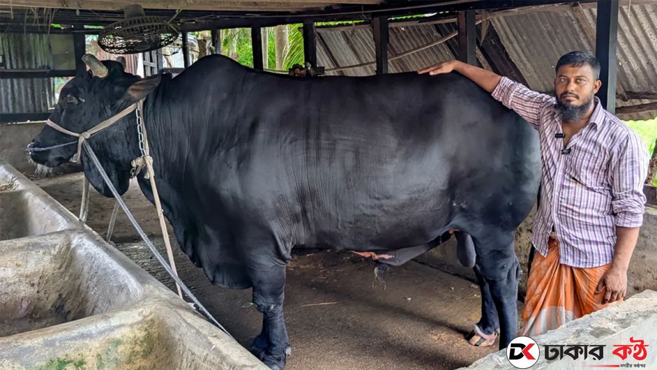 খালেদা জিয়াকে উপহার দেওয়া সেই কালো মানিক বিক্রির অপেক্ষায়, দাম?
