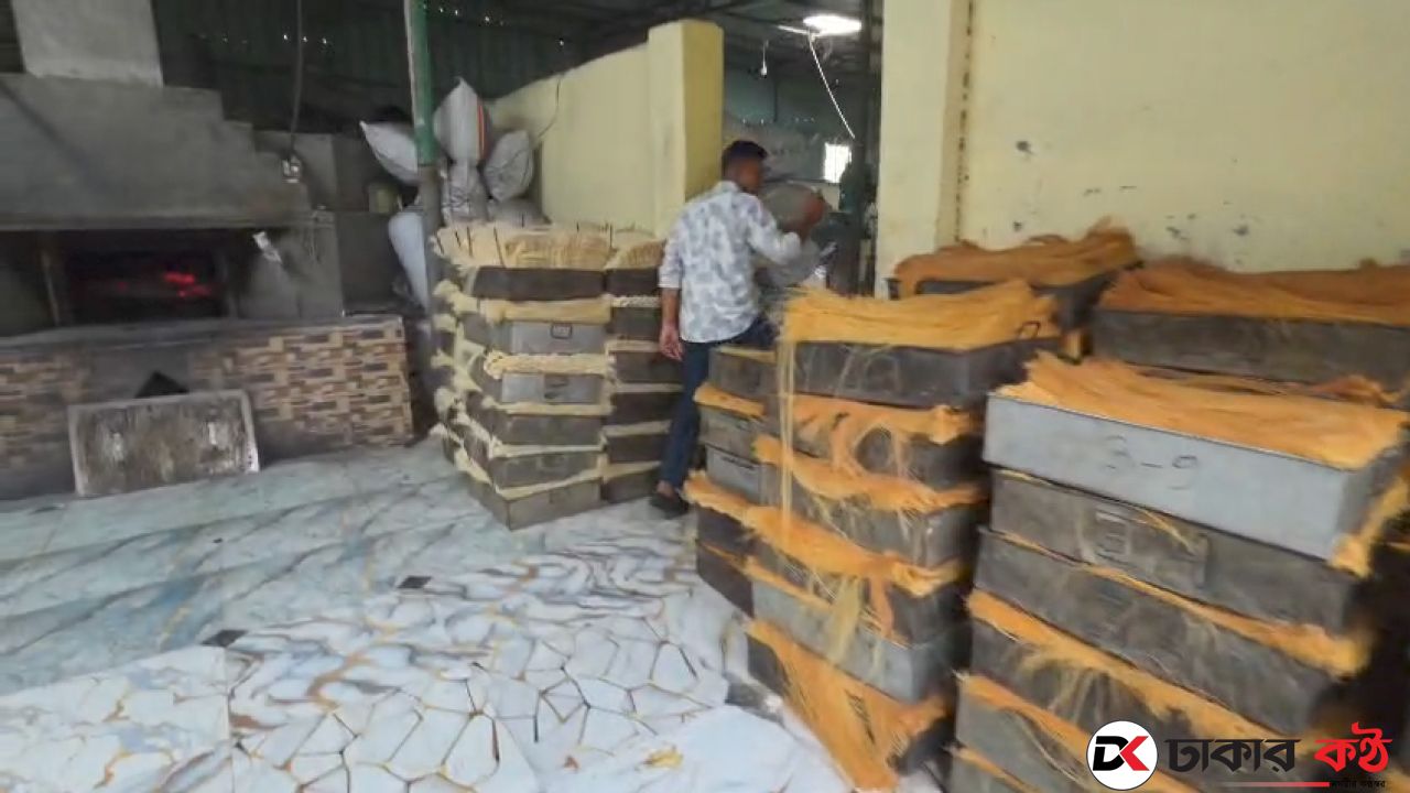 কেরানীগঞ্জে অস্বাস্থ্যকর পরিবেশে সেমাই উৎপাদন: দুই কারখানাকে এক লাখ জরিমানা