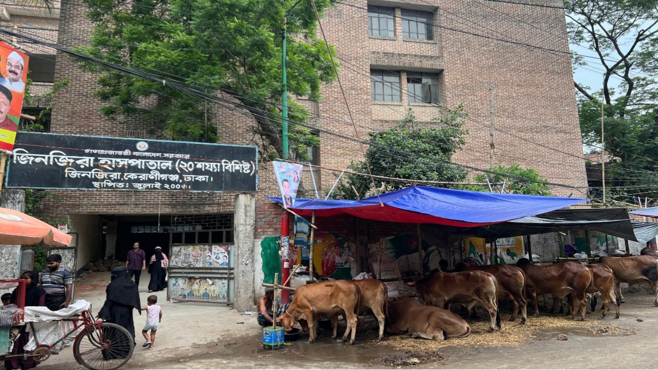 কেরানীগঞ্জে জিনজিরা ২০ শয্যা হাসপাতাল এখন গরুর হাট, ভেতরে গোবরের বস্তার স্তুপ
