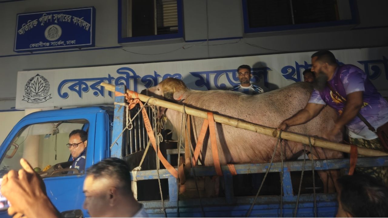 চিড়িয়াখানার পথে ‘ডোনাল্ড ট্রাম্প’!