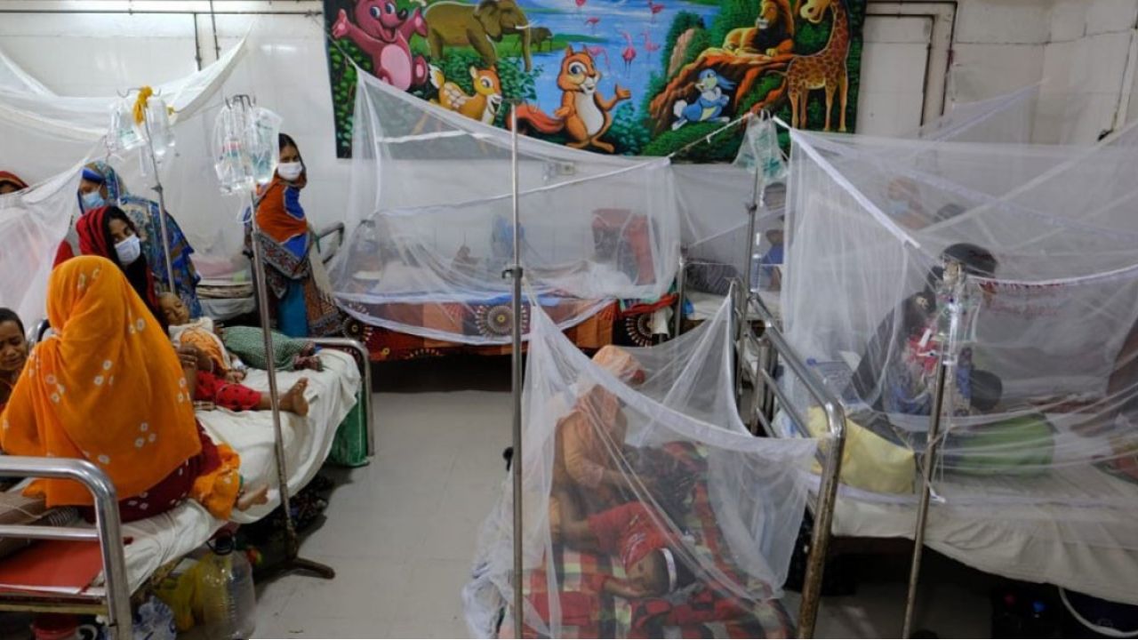 ডেঙ্গুর ভয়াবহতা বাড়ছেই, ২৪ ঘণ্টায় প্রাণ গেল ৫ জনের