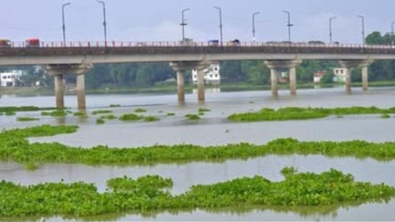 চাঁপাইনবাবগঞ্জে ‘চায়না দুয়ারি’র দাপটে বিলুপ্তির পথে দেশীয় মাছ   