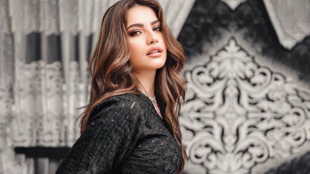 প্রথম সন্তানের মা নীলম মুনির? টিকটক পোস্ট ঘিরে তোলপাড়