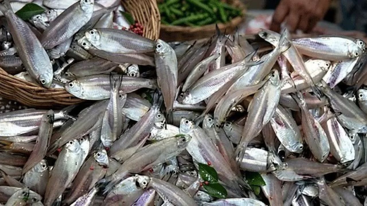 ছোট মাছ পরিষ্কারে কোন কৌশল কাজে দেবে? জেনে নিন