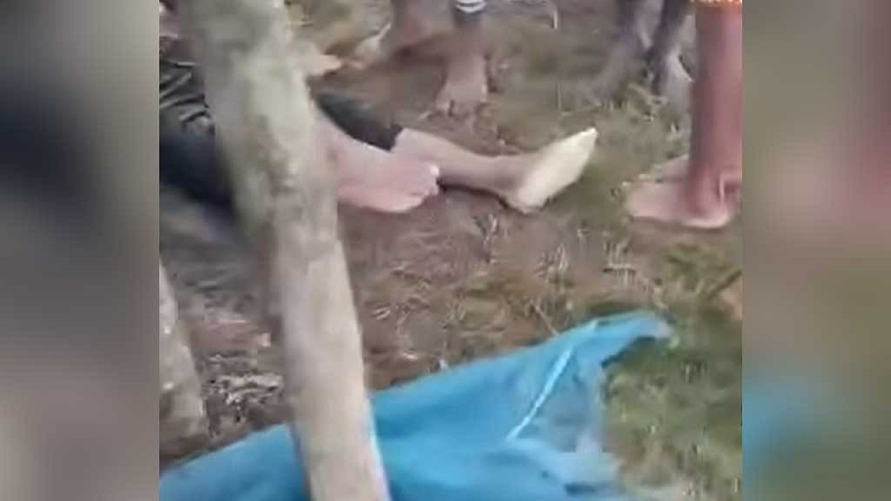 মাছ ধরতে গিয়ে আর ফেরা হলো না, পাবনায় বজ্রপাতে ৬ জনের মৃত্যু